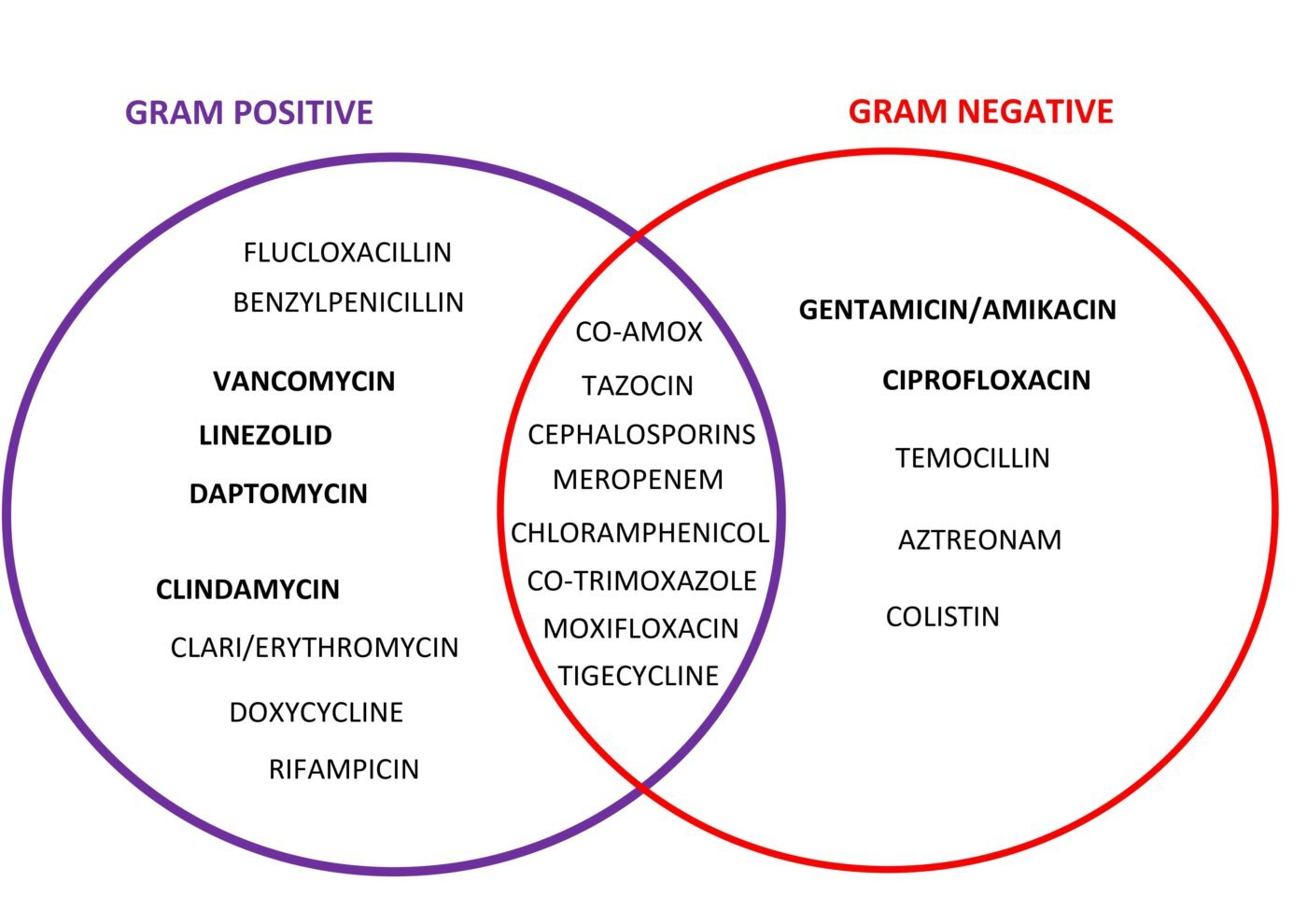 Antibiotic Spectrum Oscestop Osce Learning