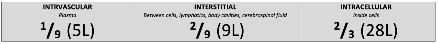 Adult Intravenous Fluids Oscestop Osce Learning